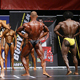 2013 NAC Ms. & Mr. Universe World Championship - Arnold Gergely