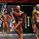 2013 NAC Ms. & Mr. Universe World Championship - Arnold Gergely