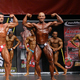 2013 NAC Ms. & Mr. Universe World Championship - Arnold Gergely