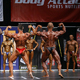 2013 NAC Ms. & Mr. Universe World Championship - Arnold Gergely