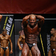 2013 NAC Ms. & Mr. Universe World Championship - Arnold Gergely